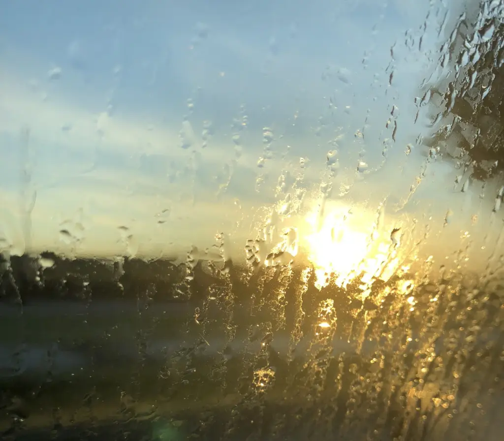 13.8.24 sadepäivä