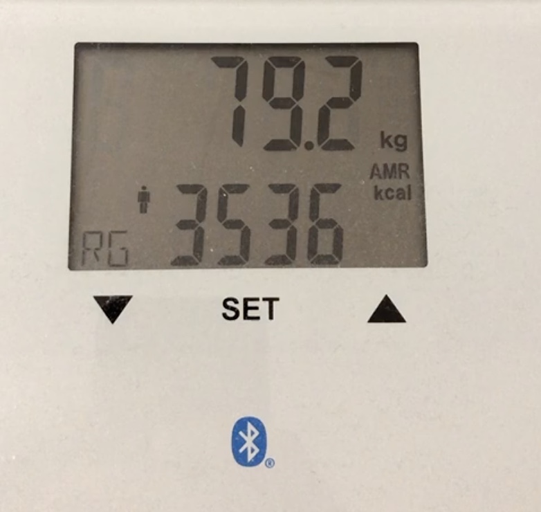 Active metabolic rate - kokonaiskulutus