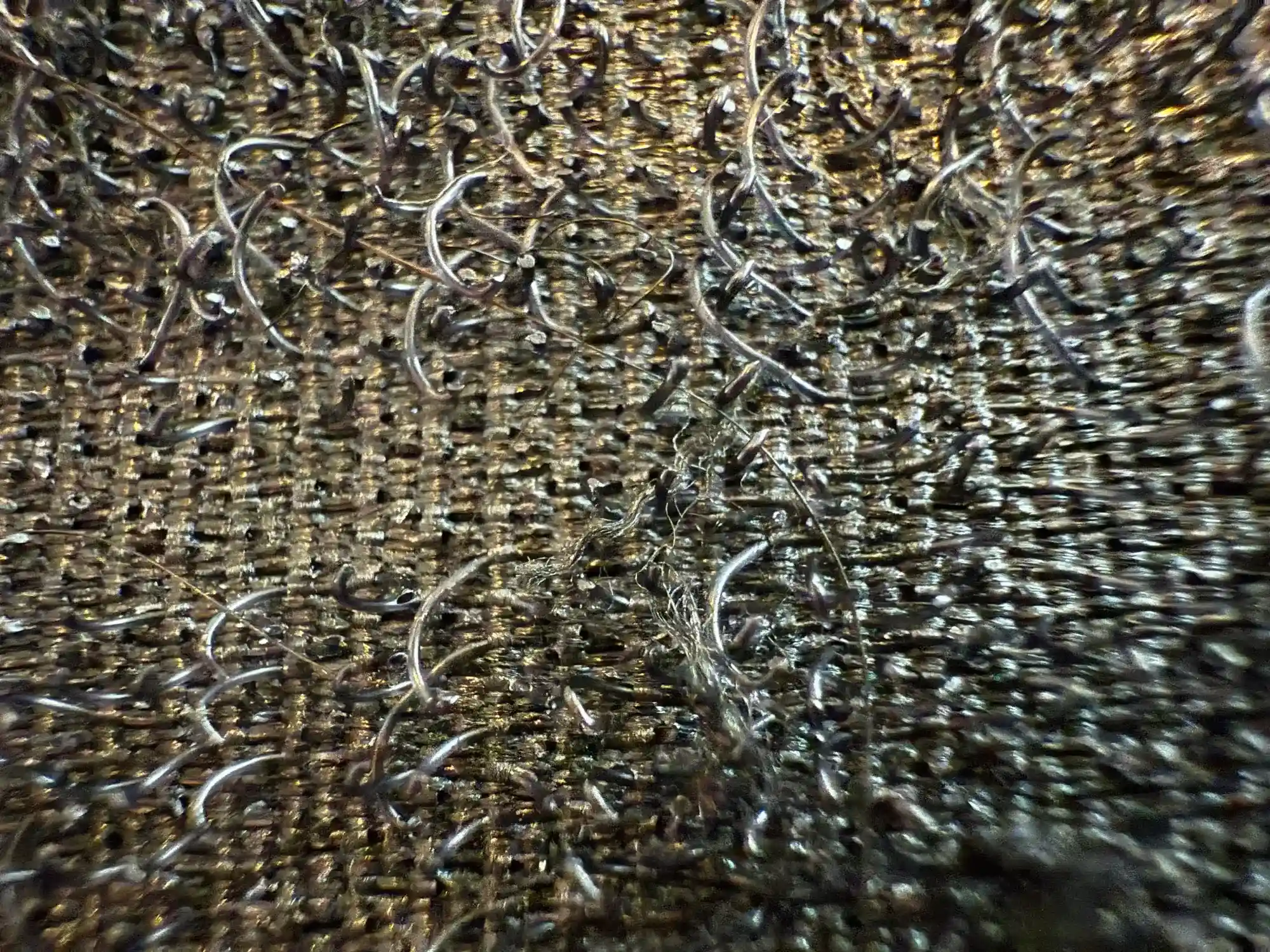 Vetoremmien tarra velcro kulunut - Balls to the Wall blogi